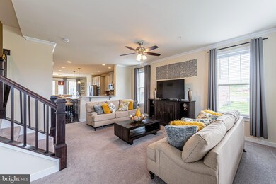 923 Badger Ave, Frederick, MD 21702 - photo 5