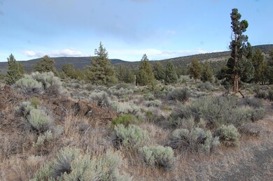 Phillips Hwy 20 6