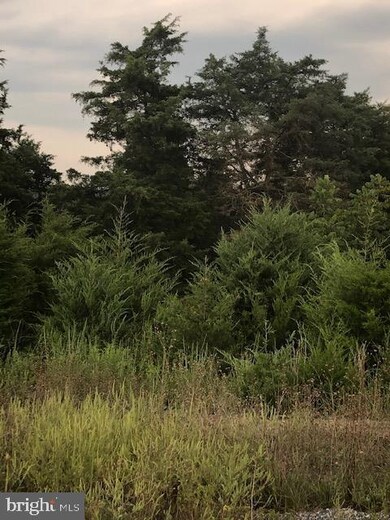 135-140 Emilys Ct, Antrim Township, PA 17225 - photo 5