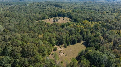 0 Mccloud Rd unit 21614202, Alberta, AL 36720 - photo 6