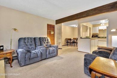 Living room & Kitchen