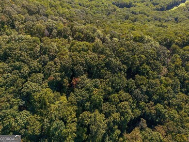 0 Shadowick Mountain Rd unit 10622865, Jasper, GA 30143 - photo 4