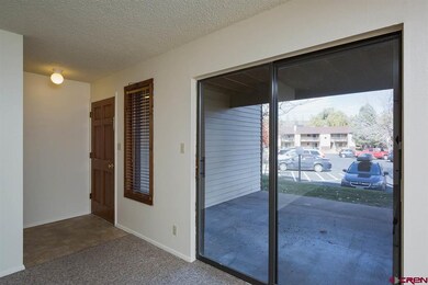 1204 Avenida Del Sol unit 212, Durango, CO 81301 - photo 3