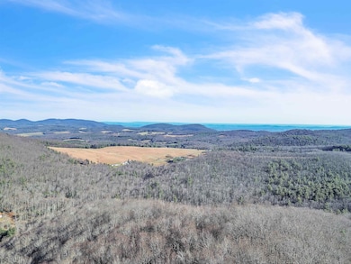 1398 Cox Store Rd SW, Floyd, VA 24091 - photo 7