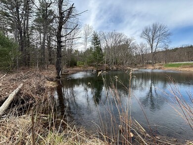 0 March Rd (Buckland Town Line), Ashfield, MA 01330 - photo 7