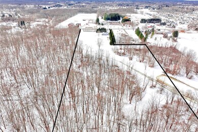 18.93 level acres! Combination of wooded and clear
