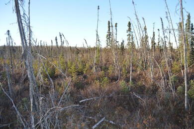 4082 Pond Lily Ln, Wasilla, AK 99654 - photo 3