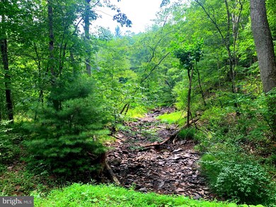 0 Shockeysville Rd unit VAFV2014768, Winchester, VA 22603 - photo 3