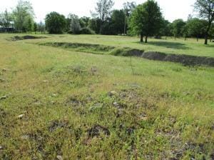 Stone Meadow - 7
