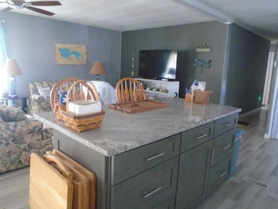 3432 State Road 580 unit 216, Safety Harbor, FL 34695 - photo 6