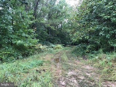 249 Quarry Rd, Stafford, VA 22554 - photo 3