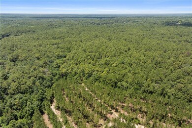 0 Jeff Hamilton Rd unit 7613918, Mobile, AL 36695 - photo 4