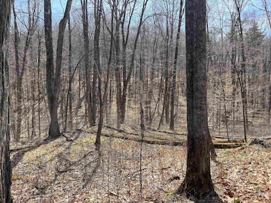 Beautiful wooded lot