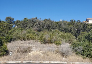 16818 Coyote Ridge, Helotes, TX 78023 - photo 2