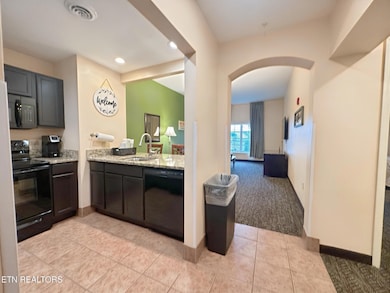 225 Collier Dr unit 2102, Sevierville, TN 37862 - photo 4