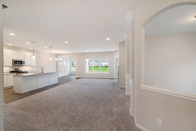 11411 W 123rd Ave, Cedar Lake, IN 46303 - photo 7