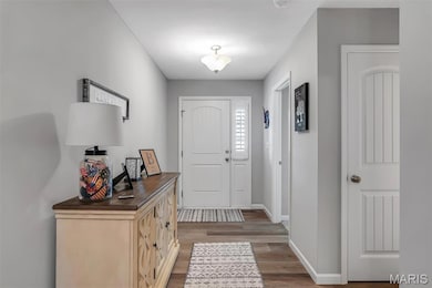 Foyer entrance with light wood-style flooring and baseboards