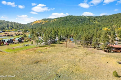 58 1120, Greer, AZ 85927 - photo 2