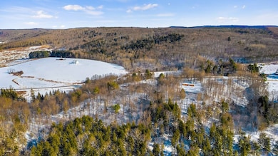 L1 County Rd 16, Otselic, NY 13815 - photo 5