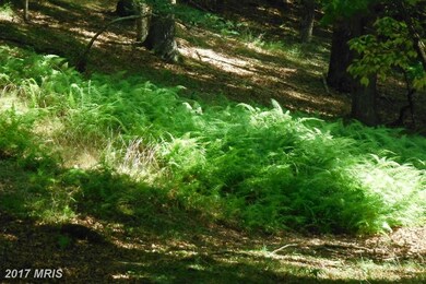 4 Solar Ln, Baker, WV 26801 - photo 6