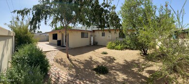 Backyard 1