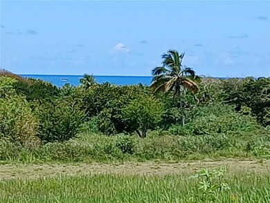 View to Atlantic Ocean