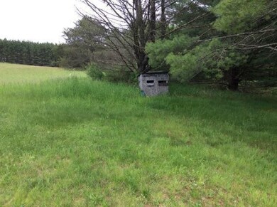 deer blind 1