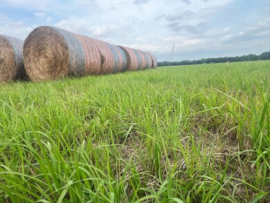 Stamford unit NE 68977, Stamford, NE 68977 - photo 3