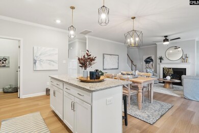 3079 Hallsdale Dr, Elgin, SC 29045 - photo 6