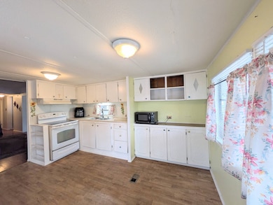 5219 Peninsula St, Zephyrhills, FL 33541 - photo 3