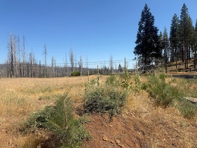 9981 Grizzly Flat Rd, Grizzly Flats, CA 95636 - photo 6
