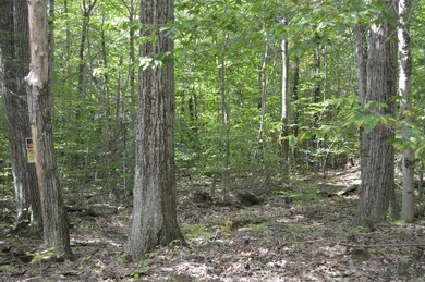 West Hill Rd Middlefield-Becket Line 012