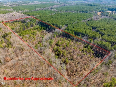 0 Horton Rd unit 10135849, Gulf, NC 27252 - photo 4