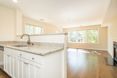 101 Franklin St unit 1, Brookline, MA 02445 - photo 6