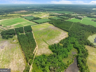 APPRX 34.2 ACRE Highway 301 N, Statesboro, GA 30458 - photo 6