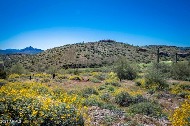 15609 E Palatial Lot 10