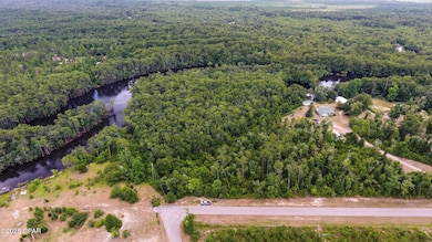 TBD SE Cypress Point, Wewahitchka, FL 32449 - photo 6