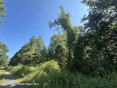 0 Medwyn Ln unit 20253322, Red Hook, NY 12571 - photo 6