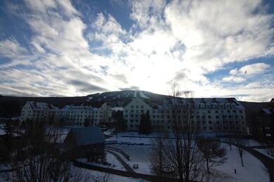 43 Middle Ridge Rd unit 416, Winhall, VT 05155 - photo 2