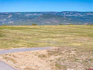 Lot 2A Bull Mesa Rd, Cedaredge, CO 81413 - photo 4