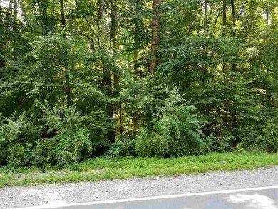 0 Moore Mountain Rd unit 2401556, Baldwin, NC 27312 - photo 3