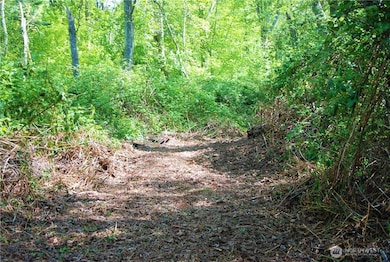 12 Koehn Rd, Birch Bay, WA 98230 - photo 3