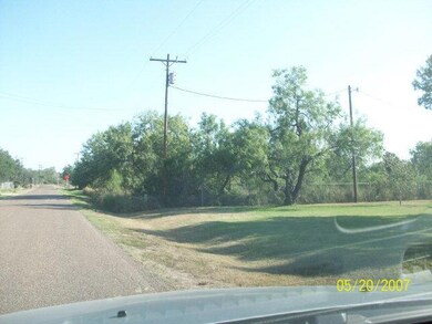 FM 88 Farm To Market 88, Weslaco, TX 78596 - photo 2
