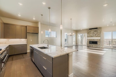 16569 Peak St, Broomfield, CO 80023 - photo 4