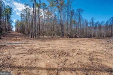 0 John Kay Rd unit 10451216, Taylorsville, GA 30178 - photo 6