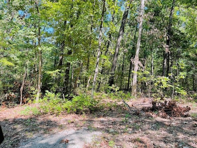 2362 N State Highway 265 unit 20 Acres M/L, Branson, MO 65616 - photo 5