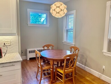 29 University Rd unit 1, Brookline, MA 02445 - photo 4
