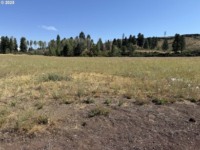 38532 Bennie Ln unit 9, Chiloquin, OR 97624 - photo 3