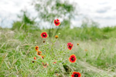 TBD 5 Ox Mill Creek Rd, Weatherford, TX 76087 - photo 4