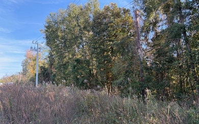 TBD SE Baxter Ln, Lake City, FL 32025 - photo 3